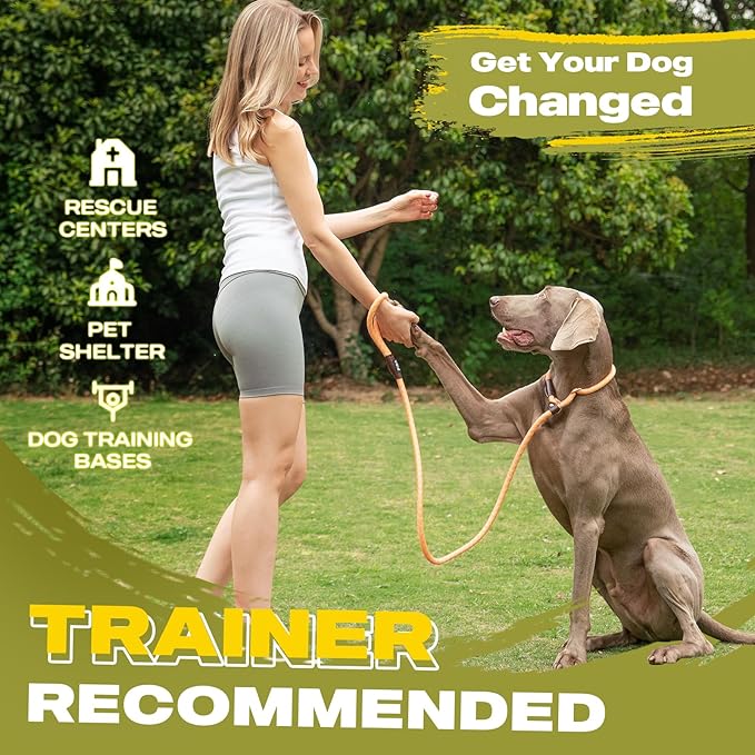 Fida Durable Slip Loop Lead for Large, Medium Dogs, 6 FT x 1/2" Heavy Duty, Comfortable Strong Rope, No Pull Pet Training Leash with Highly Reflective, Orange
