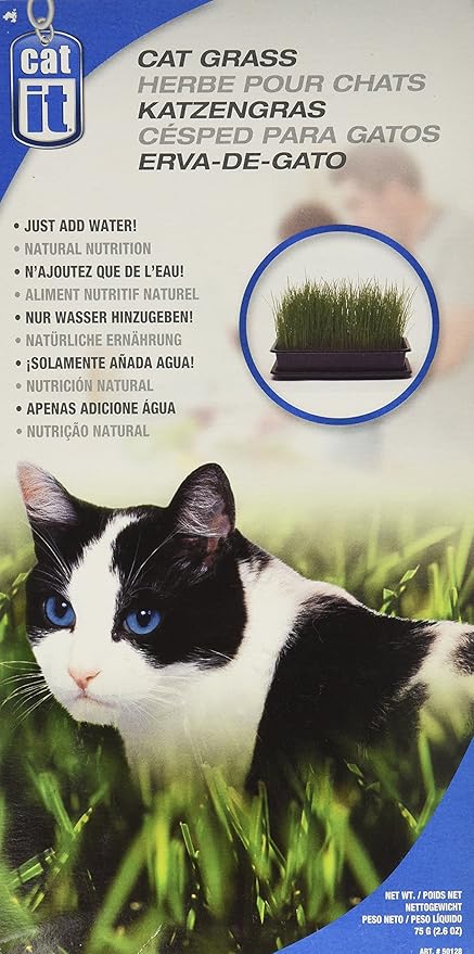 Hagen Catit Cat Grass - 75G